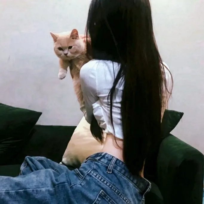 武林秘案之美人图鉴